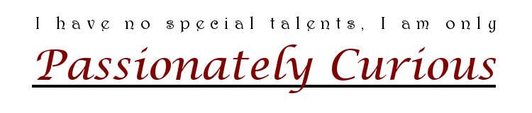 Passionately Curious