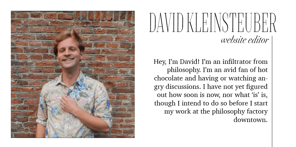 david website